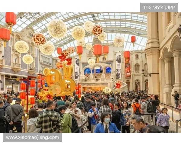 澳门美高梅网址登录指南，详细步骤帮助玩家顺利进入游戏大厅